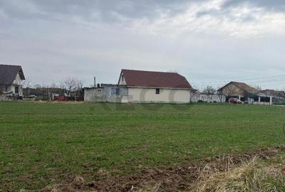 RECO IMOBILIARE,TEREN Cihei - 2