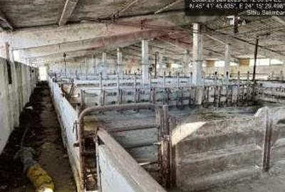 Ferma zootehnica functionala, cu teren generos si acces auto direct Ferma zootehnica functionala, cu teren generos si acces auto direct - 4