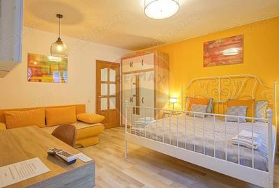 Casa cu 5 studiouri independente, terasa rooftop, vedere montana - 2