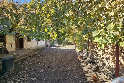 Casa de vanzare Petreni - 5