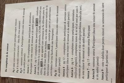 Vand casa la curte comuna - 9