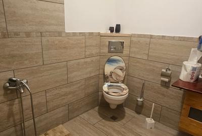 Casa singur curte la pret de apartament Tamasi - 7