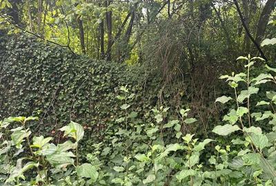 Casă cu 3 camere cu Teren 2100 Mp în Ileanda - 3