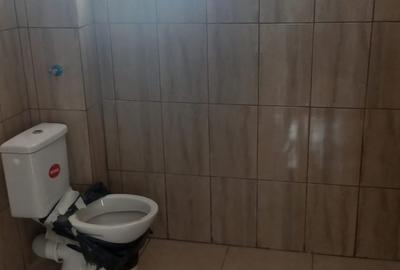 Comuna Berceni Comuna Berceni - 10