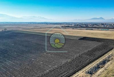 TEREN STUPINI-COMISION 0 - 5