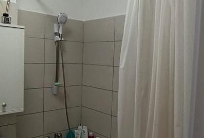 Apartament cu 2 camere decomandat în Exterior Vest - 11