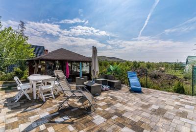 Proprietate deosebita cu piscina, Gadalin - 17