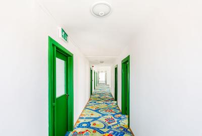 De vanzare proprietate pretabila cazare/locuire/pensiune rurala,  Carani, Timis - 27