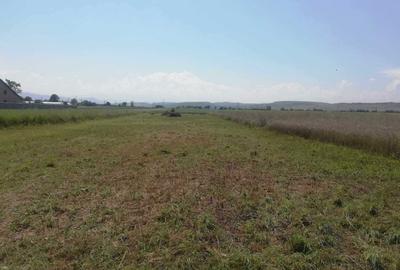 Teren de 3000 mp, în Exterior Sud - 1