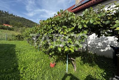 Casa saseasca de vanzare + bonus doua terenuri Seica Mare Sibiu - 6
