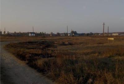 Loturi de teren Darasti-Ilfov - 2