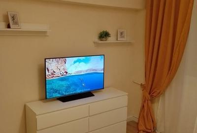 Apartament 2 camere de vanzare Gorjului - 11