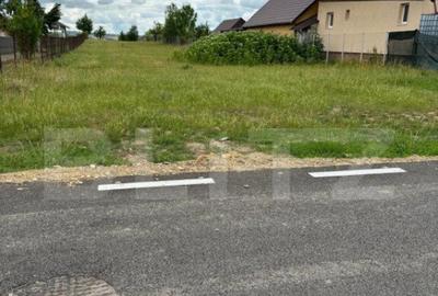 Teren intravilan, 2500 mp, Tisauti - 2