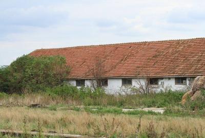 Teren de 95000 mp, în Cerneteaz - 5