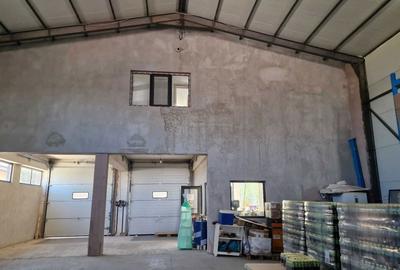 Spațiu comercial, de 600 mp, în Joița - 1