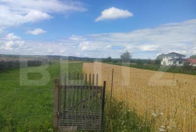 Teren intravilan la sosea, 6400 mp, Vicov de Sus - 3