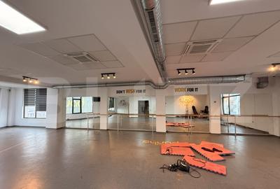 Spațiu comercial, de 334 mp, în Calea Severinului - 7