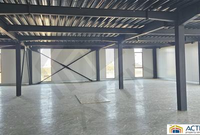 Hala moderna de inchiriat Ungheni-Targu Mures - 6