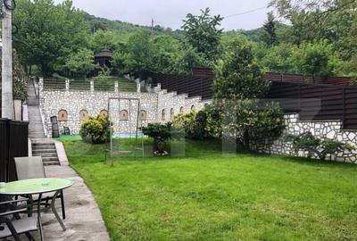 Casa 720 mp, gradina 2000 mp, 10 parcari, zona Donath! - 13