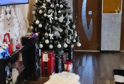 Apartament in Flore?ti - 1