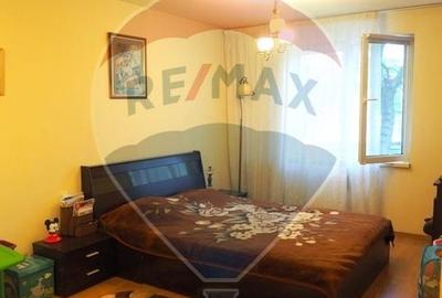 Apartament cu 3 camere decomandat, mobilat în Baba Novac - 10