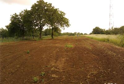 Teren de 4229 mp, în Băicoi - 7