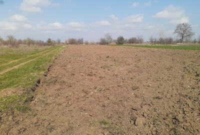Tartasesti teren intravilan 2441 mp, Teren, Vanzare - 6