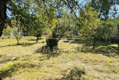 Teren de 3234 mp, în Lerești - 14