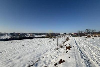 Teren de 1439 mp, în Viile Satu Mare - 4