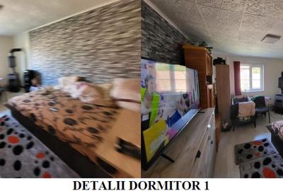 Casă cu 3 camere cu Teren 273 Mp în Lumina - 9