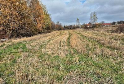Teren de 3574 mp, în Dângău Mic - 2