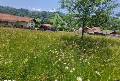 Spațiu comercial, în Județean