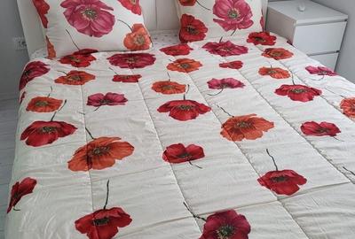 Apartament cu 2 camere decomandat în Central - 7