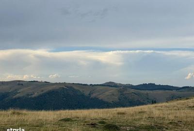 Teren de 14526 mp, în Gura Râului - 3