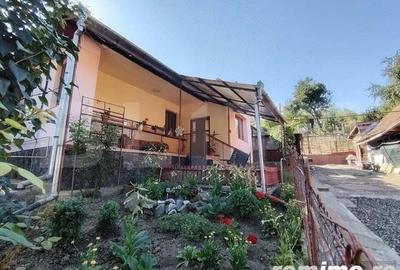 Vanzare casa cu 3 camere in Bardesti, 1600 mp teren - 14