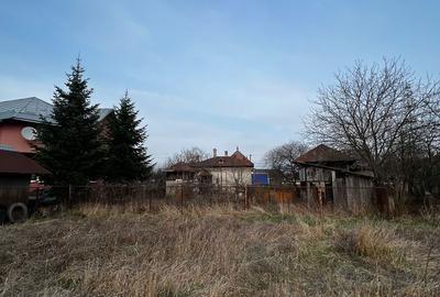 Casă cu 2 camere cu Teren 4000 Mp în Ulmi - 3