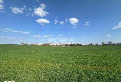 Spațiu comercial, în Aeroport - 2