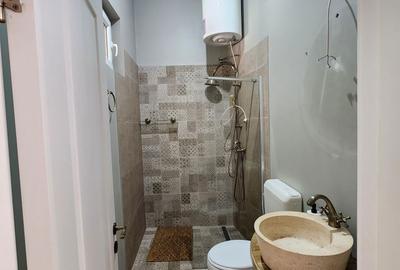 Apartament cu 2 camere în P-ța Unirii - 3