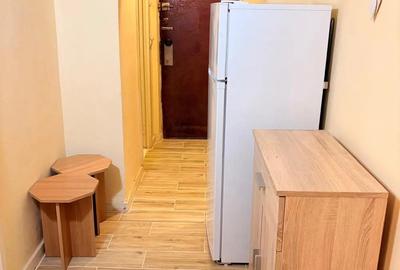 Apartament 1 camara Parcul Botanic - 4