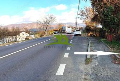 Teren intravilan Calimanesti-Seaca cu acces la DN latime 19ml - 7