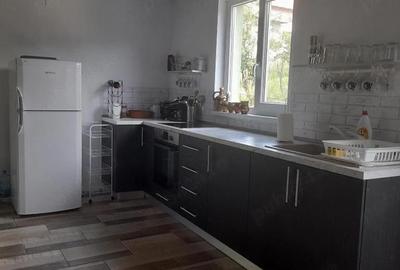Casă cu 3 camere cu Teren 165 Mp în Sasca Montană - 5