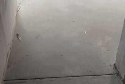 Casă cu 5 camere cu Canalizare în Kamsas - 4