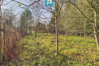 Casă P+E+M cu teren 8163 mp – Roșia Nouă (Petriș) - 12