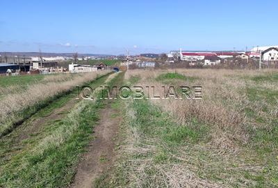 Teren de 5000 mp, în Miroslava - 3