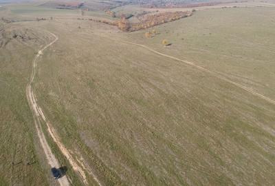 Teren extravilan 150.700 mp loc. Anghelus jud. Covasna - 2