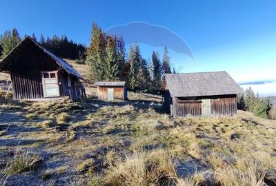 Teren 31,461mp Panaci / Prelungirea Ialovita - 4