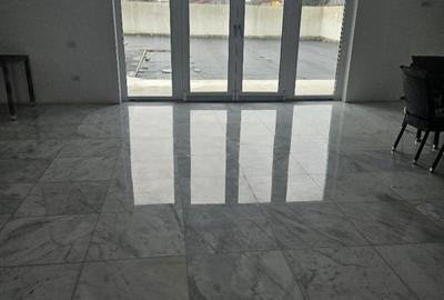 Casă cu 4 camere cu Teren 1054 Mp în Bălăceanca - 15