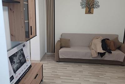 Apartament cu 2 camere semidecomandat în Calea București - 10