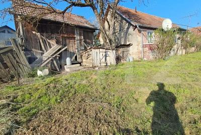 Casă cu 2 camere cu Teren 15000 Mp în Central - 5