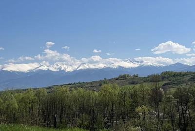 Spațiu comercial, în Ciula Mare - 2